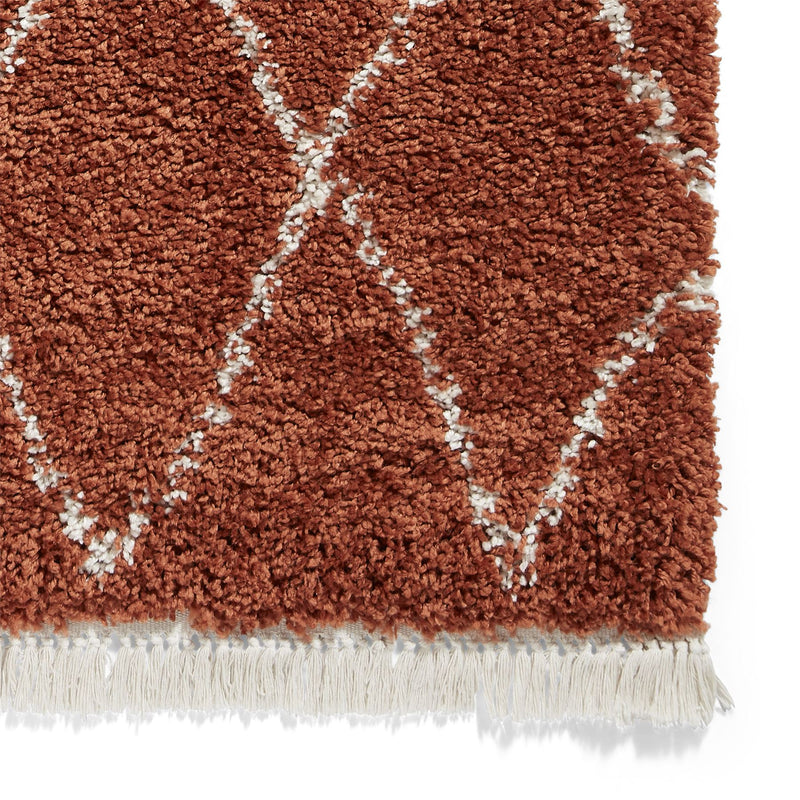 Boho 8280 Berber Shaggy Modern Rugs in Rust Brown