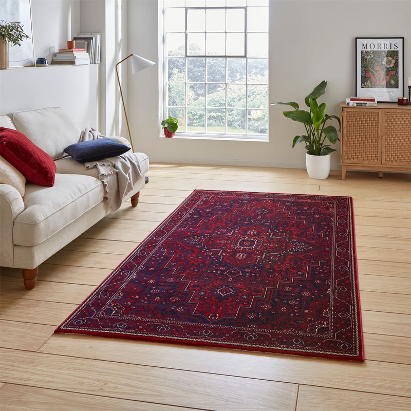 Dubai 62098 Traditional Medallion Border Rugs in Red