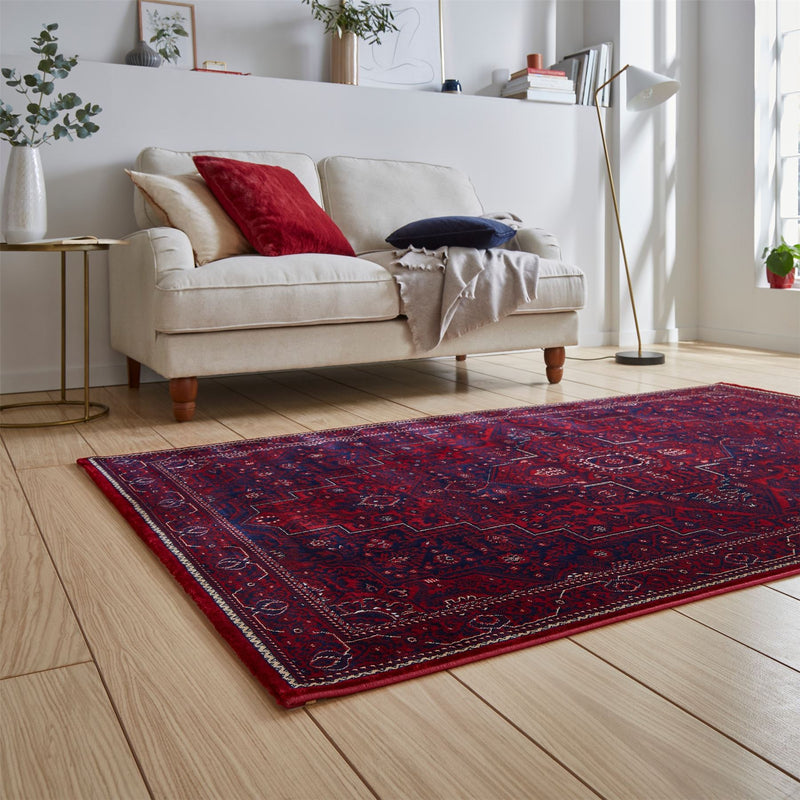 Dubai 62098 Traditional Medallion Border Rugs in Red