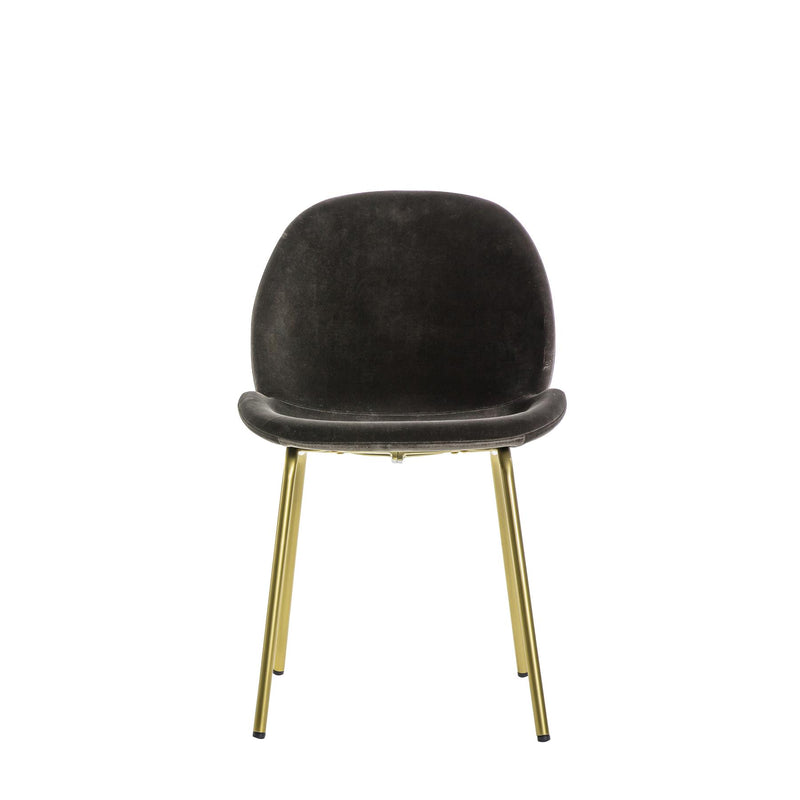 Sora Chocolate Brown Velvet Dining Chair with Gold Legs Set of 2